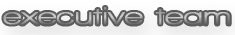 executive team